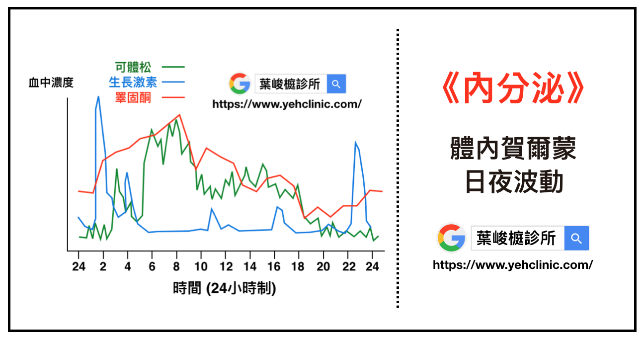 賀爾蒙