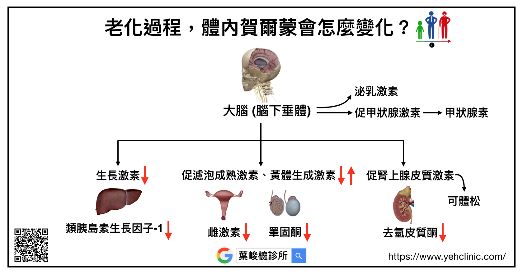 體重管理
