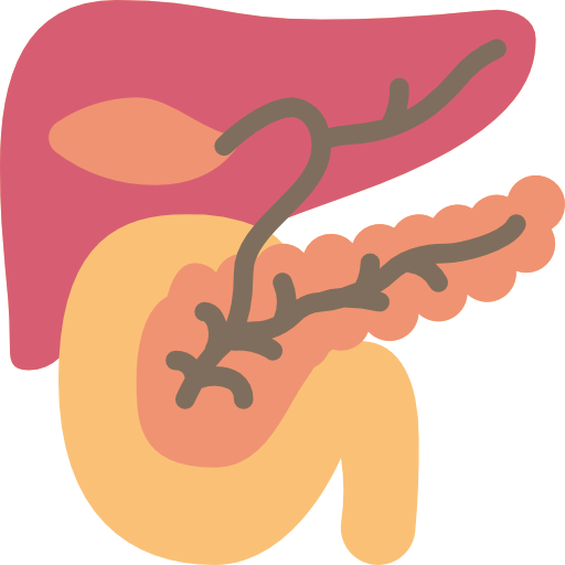 pancreas