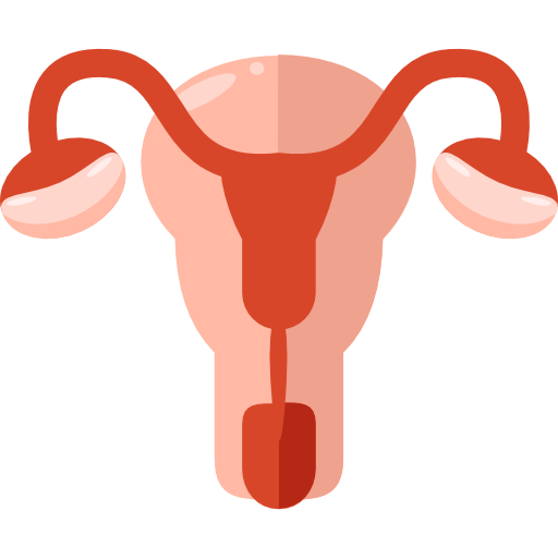 uterus