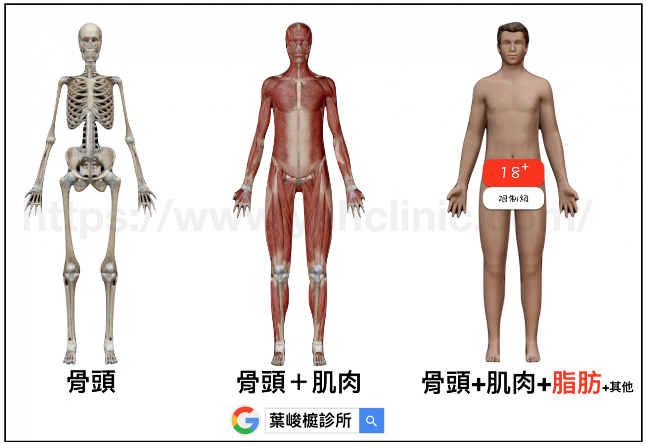 inbody