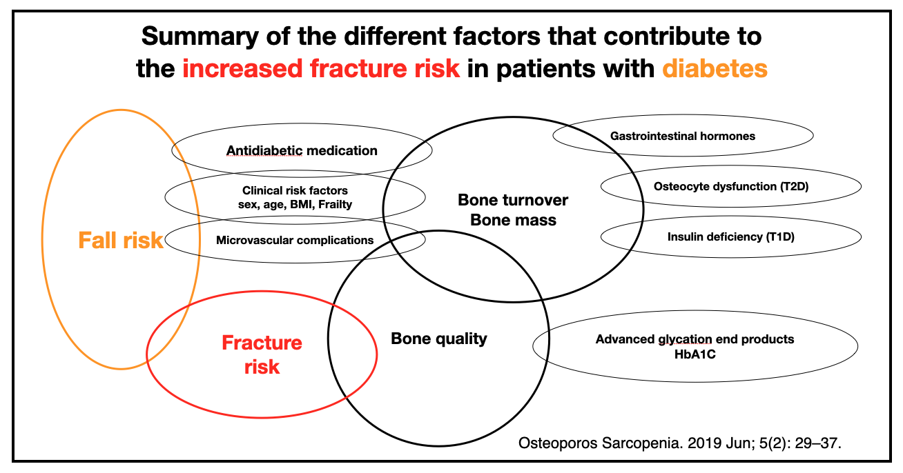 Summary of the different factors that contribute to the increased fracture risk in patients with diabetes