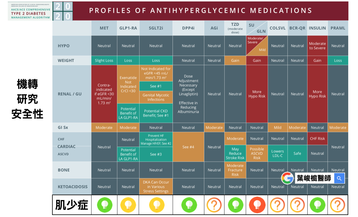 Sarcopenia in Chronic Kidney Disease: Factors, Mechanisms, and Therapeutic Interventions