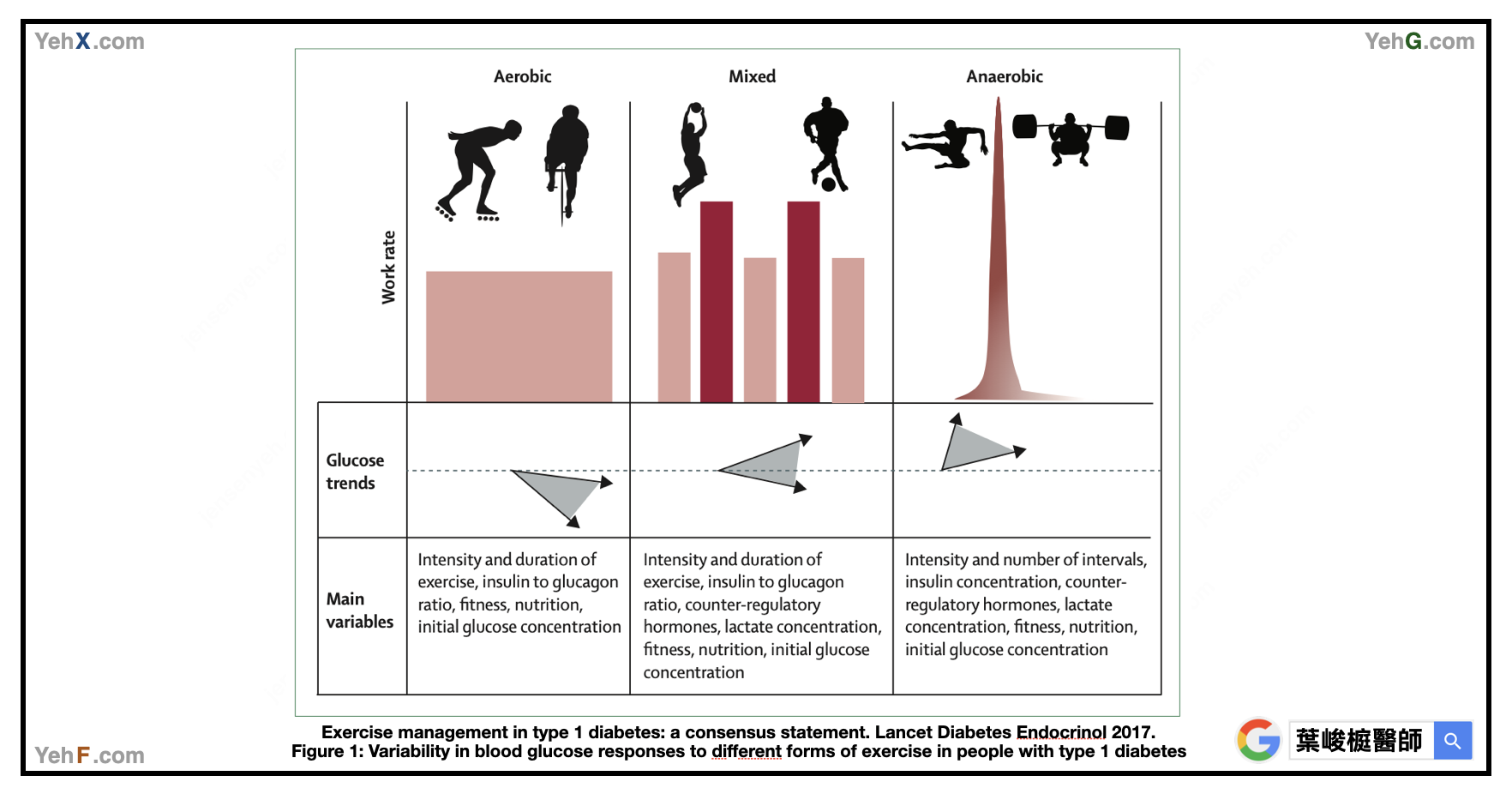 第1型糖尿病運動血糖管理圖表