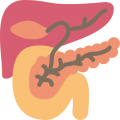 pancreas